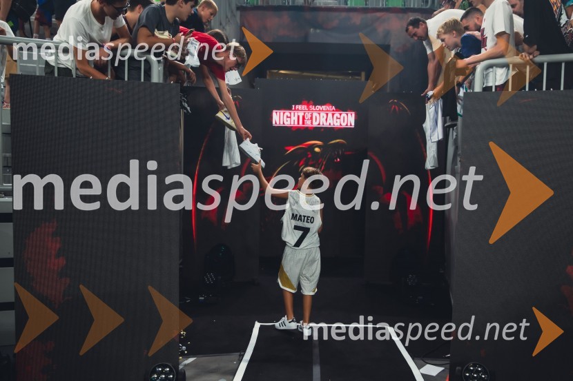  Mateo DragićPoslovilna tekma Gorana Dragića v Stožicah