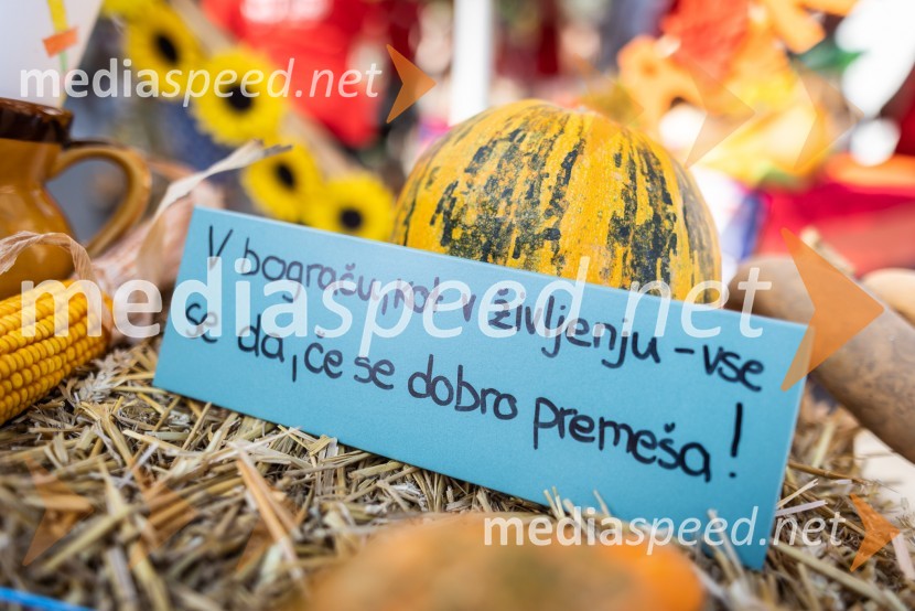 Terme Lendava zmagala na tekmovanju Bogračfest 2024