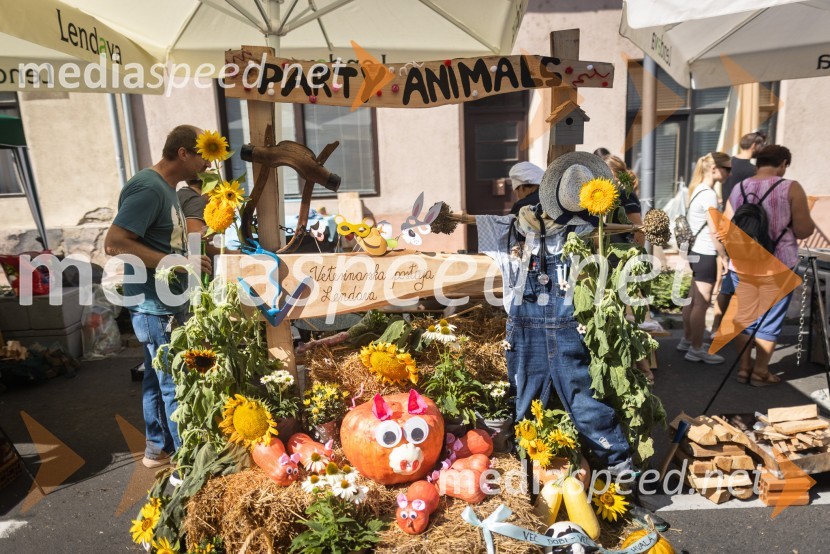 Terme Lendava zmagala na tekmovanju Bogračfest 2024