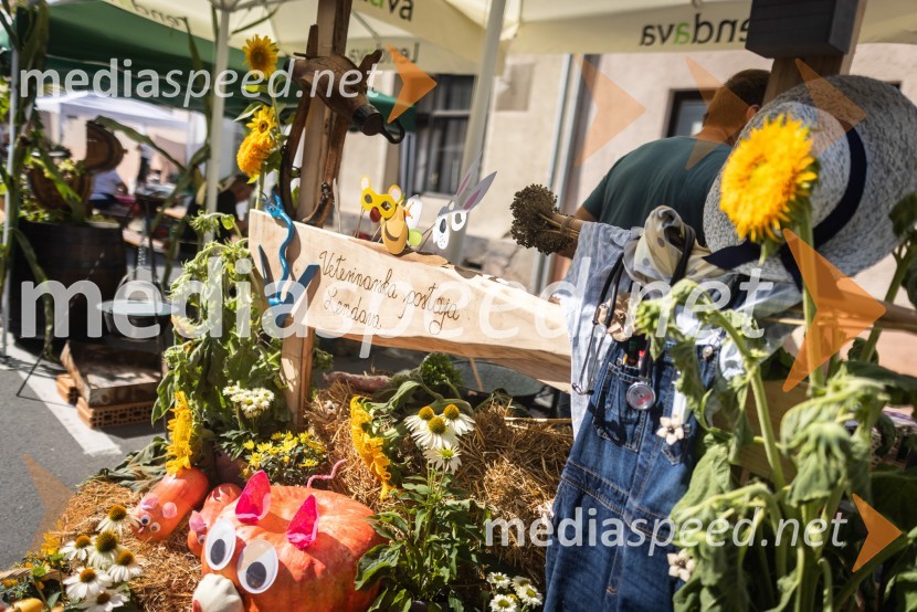 Terme Lendava zmagala na tekmovanju Bogračfest 2024