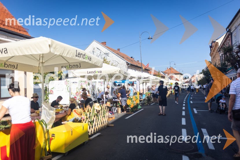 Terme Lendava zmagala na tekmovanju Bogračfest 2024