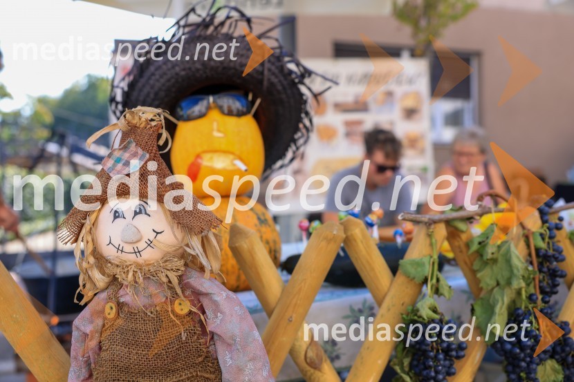 Terme Lendava zmagala na tekmovanju Bogračfest 2024