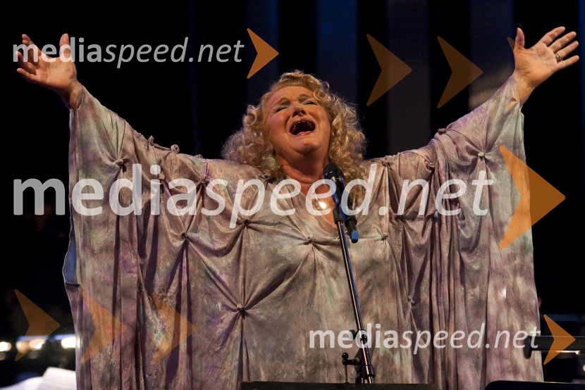 Elda Viler, pevkaPoletna noč - koncert Elde Viler z gosti ob 50. letnici delovanja