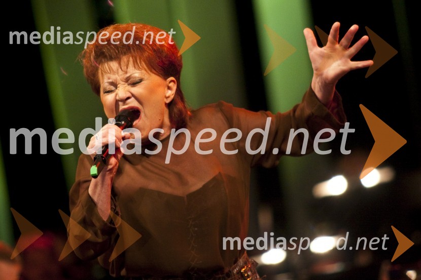 Zdenka Kovačiček, pevkaPoletna noč - koncert Elde Viler z gosti ob 50. letnici delovanja