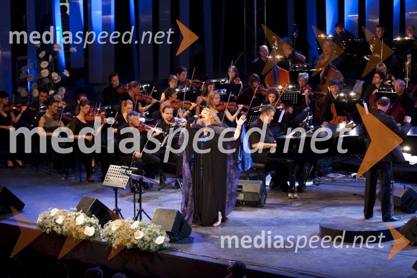 Elda Viler, pevka, Big Band in Simfonični orkester RTV SlovenijaPoletna noč - koncert Elde Viler z gosti ob 50. letnici delovanja