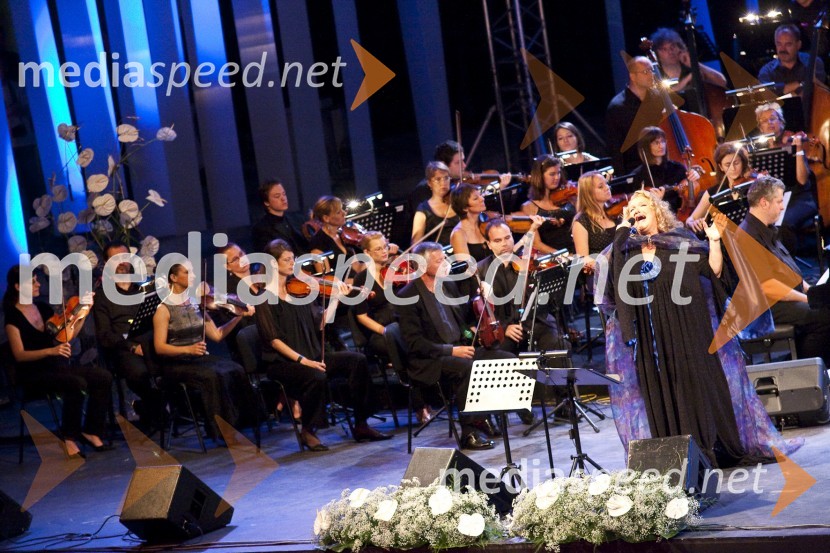 Elda Viler, pevka, Big Band in Simfonični orkester RTV SlovenijaPoletna noč - koncert Elde Viler z gosti ob 50. letnici delovanja
