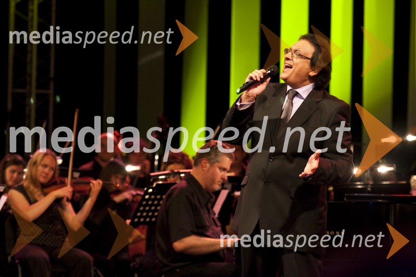 Oto Pestner, pevecPoletna noč - koncert Elde Viler z gosti ob 50. letnici delovanja