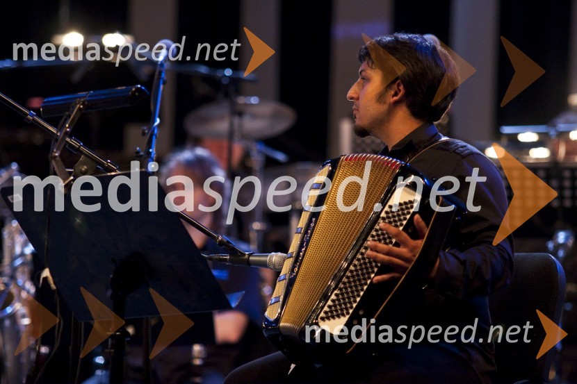 Denis Horvat, glasbenikPoletna noč - koncert Elde Viler z gosti ob 50. letnici delovanja