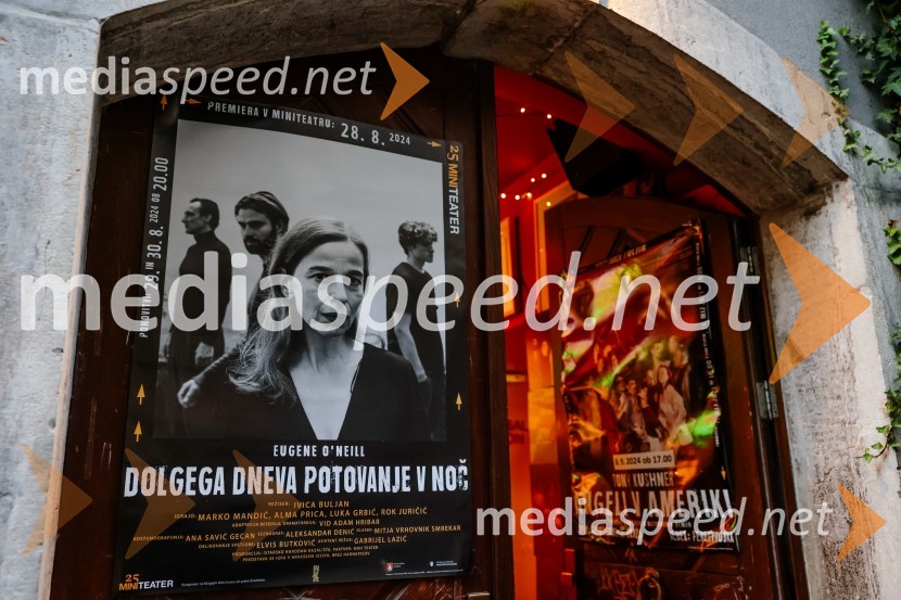 Premiera predstave Dolgega dneva potovanje v noč