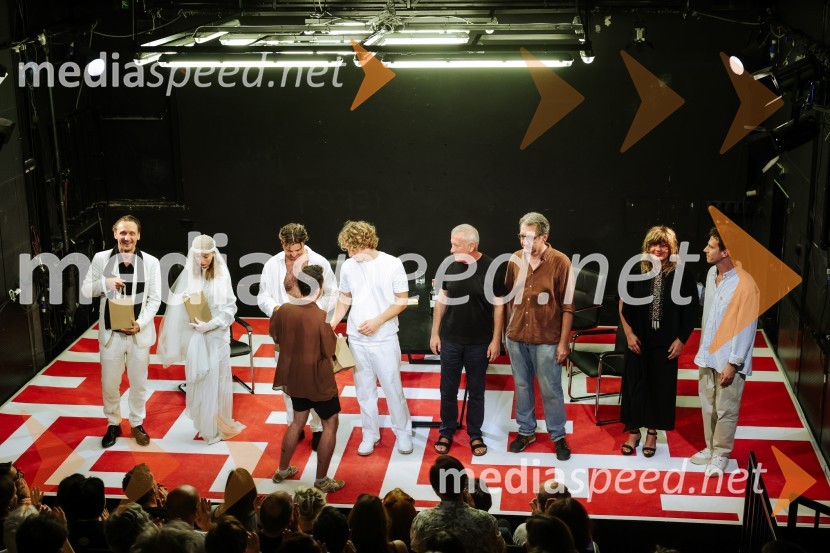 Premiera predstave Dolgega dneva potovanje v noč