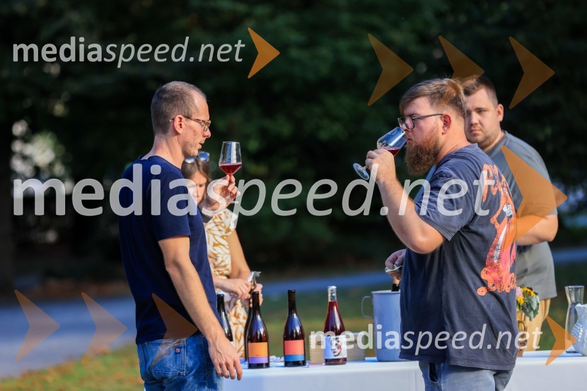 Večer lendavskih vin in koncert Maje Keuc