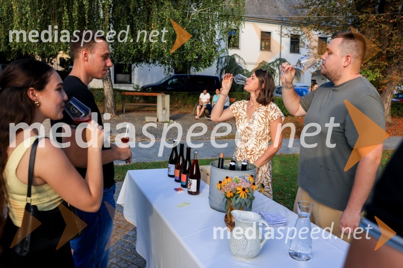 Večer lendavskih vin in koncert Maje Keuc