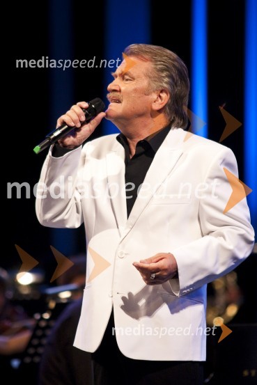 Edvin Flisar, pevecPoletna noč - koncert Elde Viler z gosti ob 50. letnici delovanja