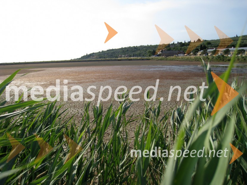 Sečoveljske solineKrajinski park Sečoveljske soline