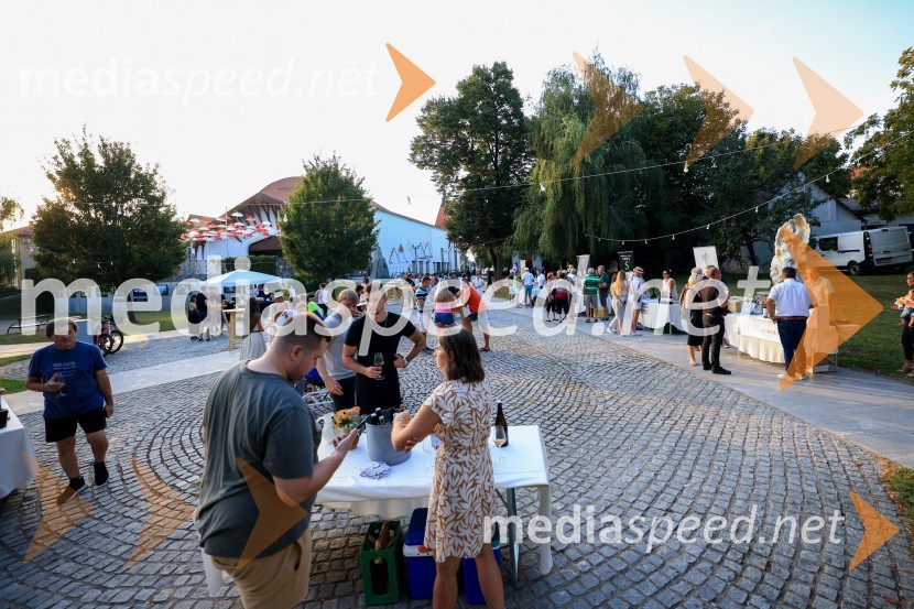 Večer lendavskih vin in koncert Maje Keuc
