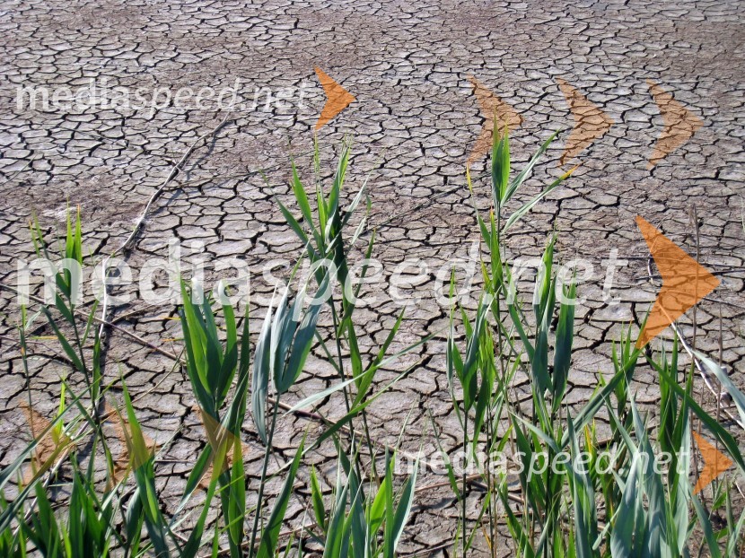 Sečoveljske solineKrajinski park Sečoveljske soline
