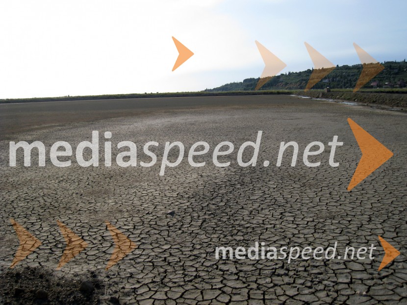 Sečoveljske solineKrajinski park Sečoveljske soline