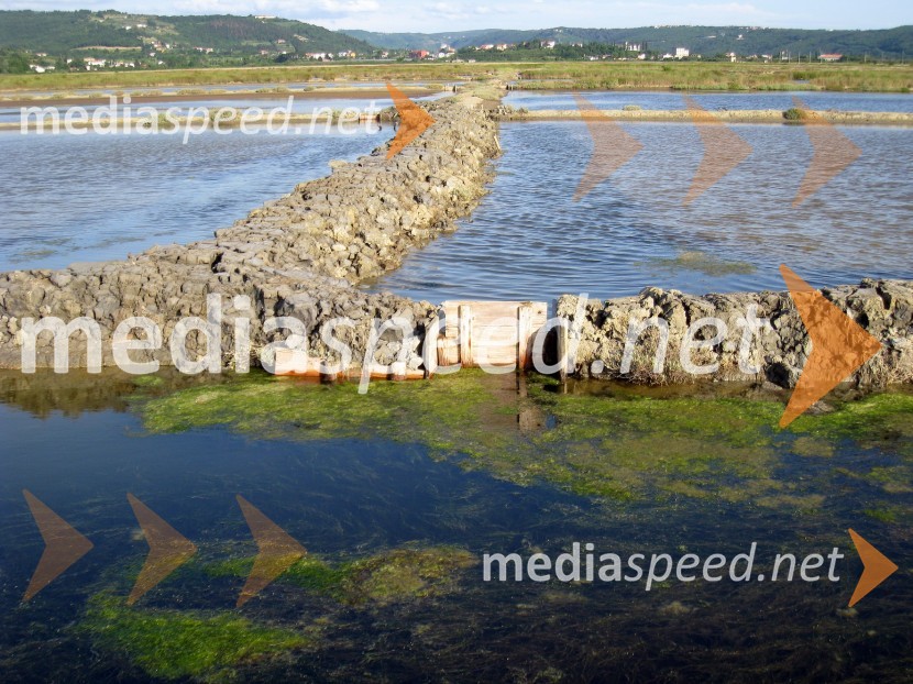 Sečoveljske solineKrajinski park Sečoveljske soline