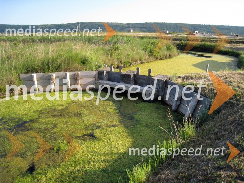 Sečoveljske solineKrajinski park Sečoveljske soline