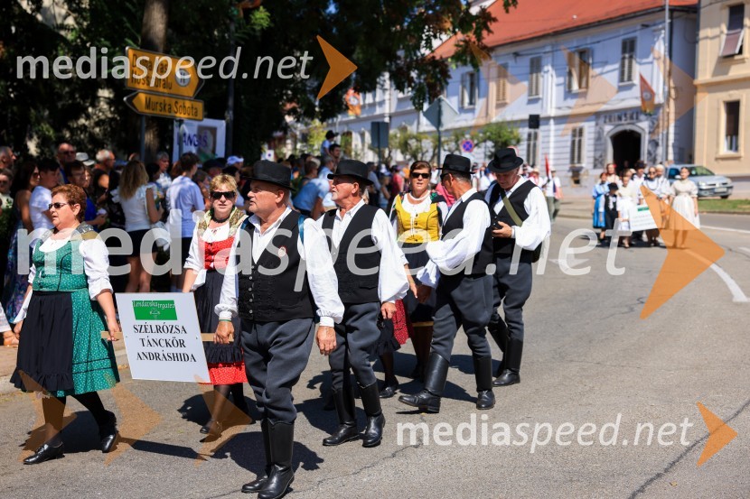 45. Lendavska trgatev 2024