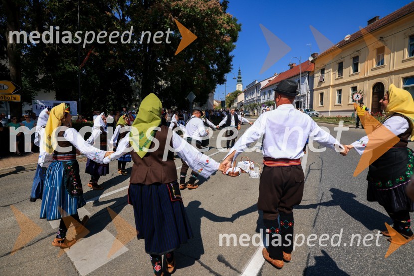 45. Lendavska trgatev 2024