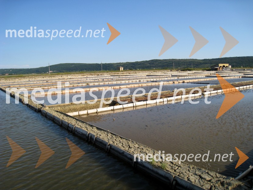 Sečoveljske solineKrajinski park Sečoveljske soline