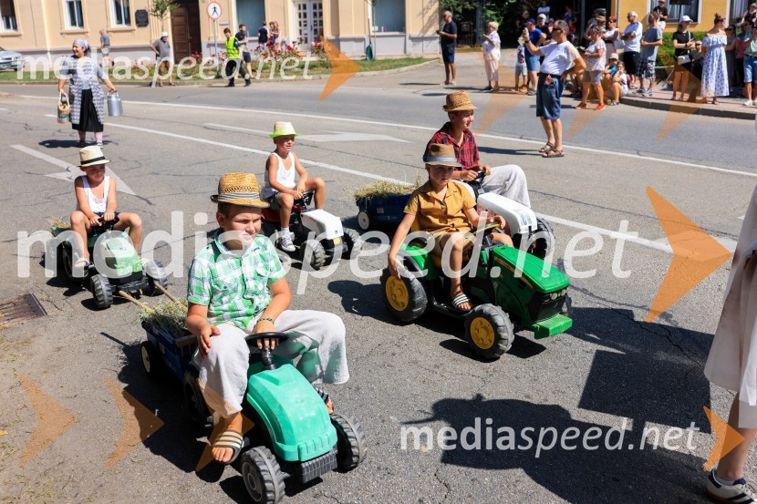 45. Lendavska trgatev 2024