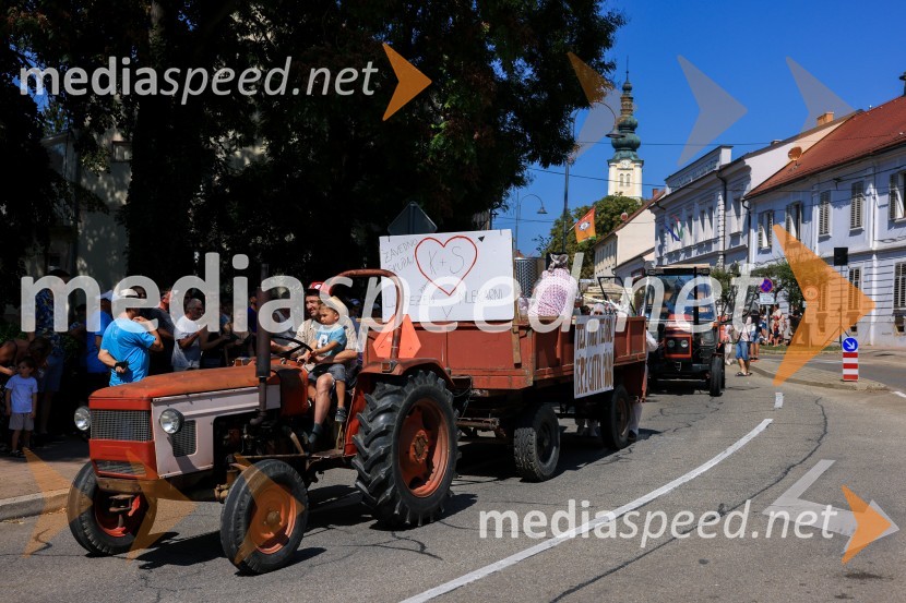 45. Lendavska trgatev 2024