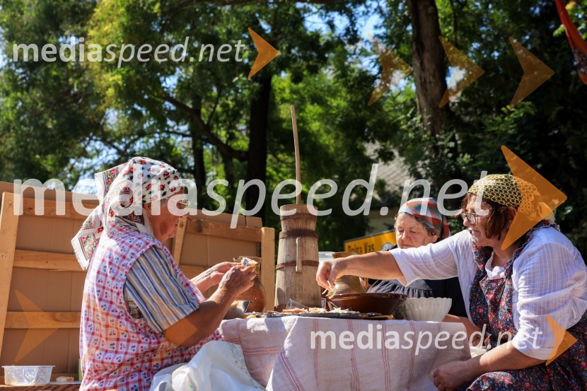 45. Lendavska trgatev 2024