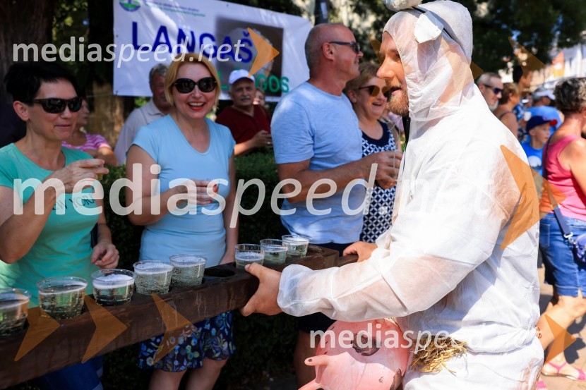 45. Lendavska trgatev 2024