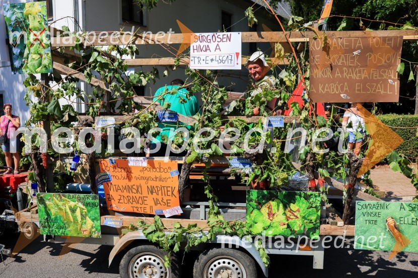 45. Lendavska trgatev 2024