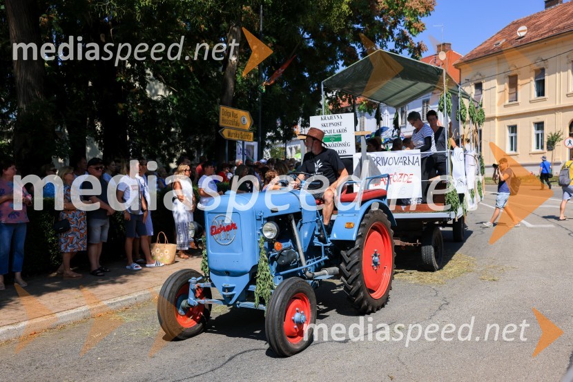 45. Lendavska trgatev 2024