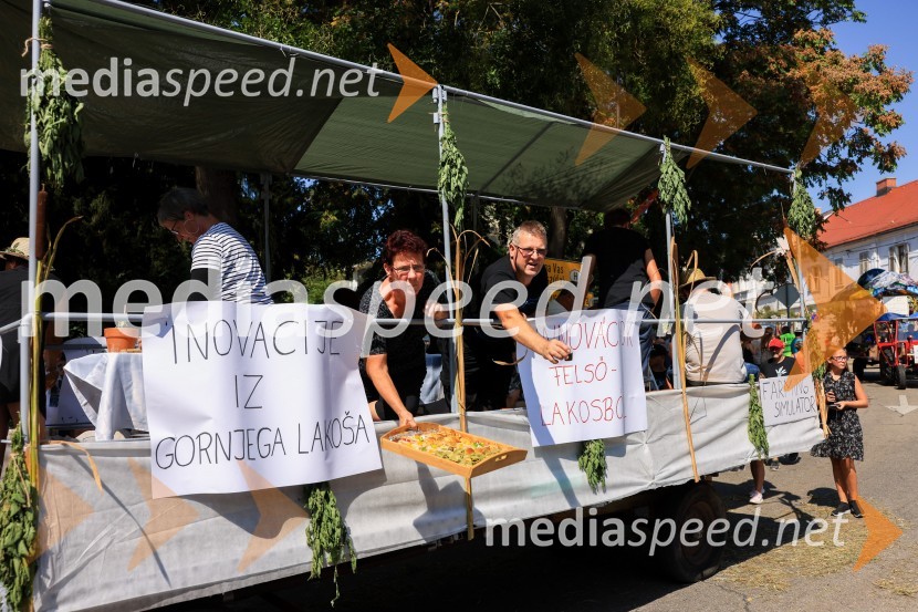 45. Lendavska trgatev 2024