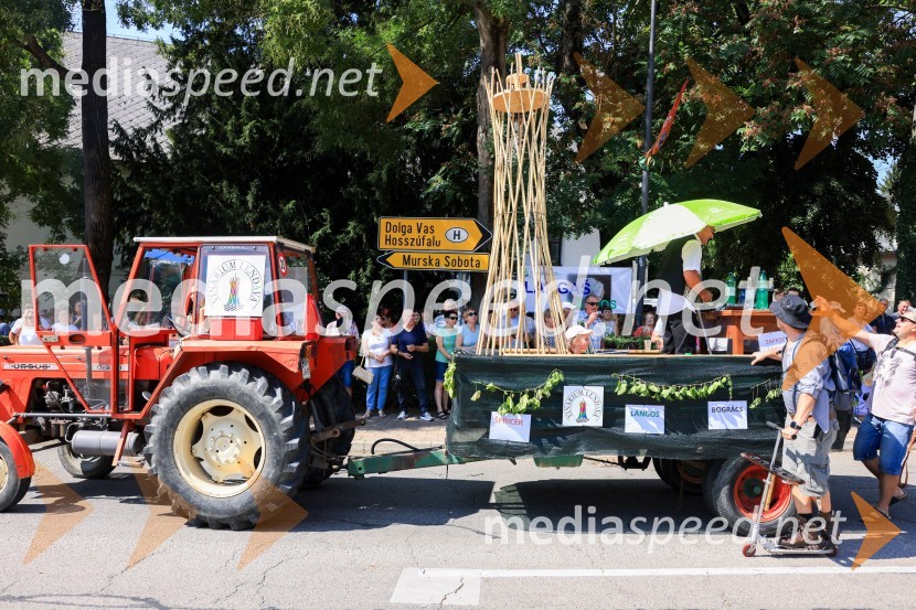 45. Lendavska trgatev 2024