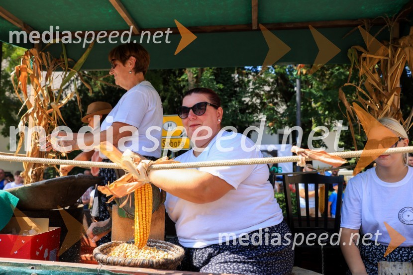 45. Lendavska trgatev 2024