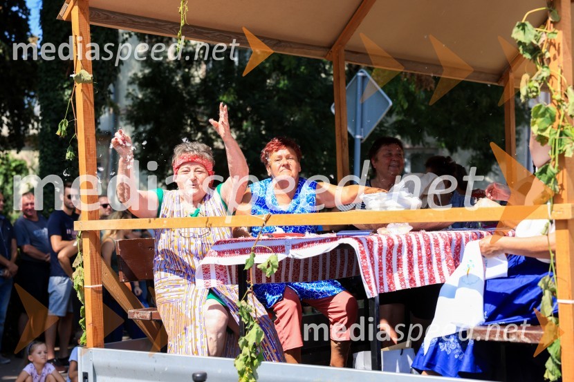 45. Lendavska trgatev 2024