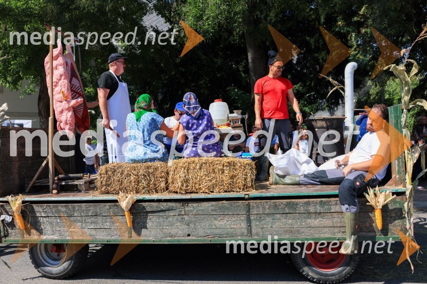 45. Lendavska trgatev 2024