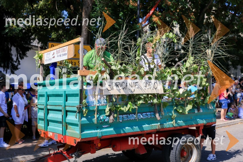 45. Lendavska trgatev 2024