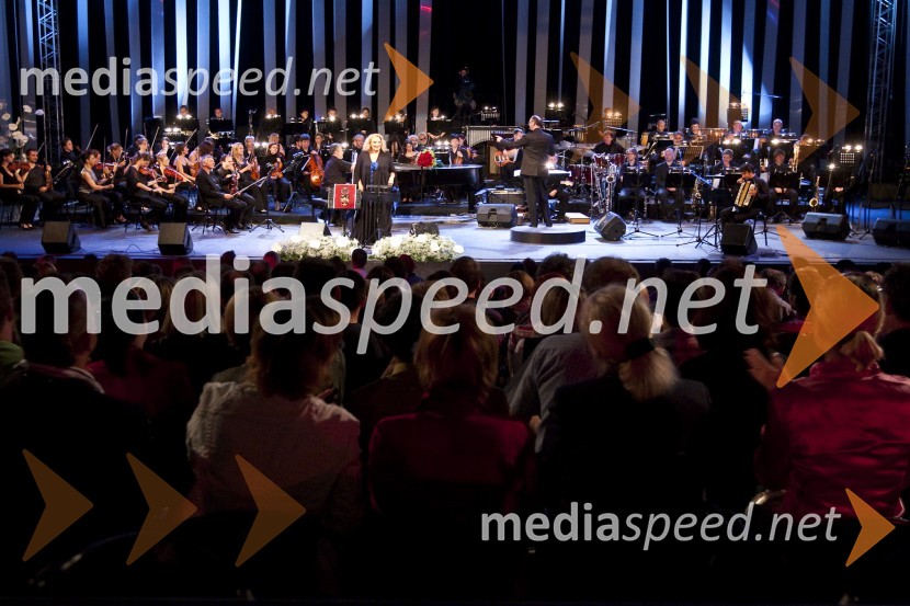 Elda Viler, pevka, Big Band in Simfonični orkester RTV SlovenijaPoletna noč - koncert Elde Viler z gosti ob 50. letnici delovanja