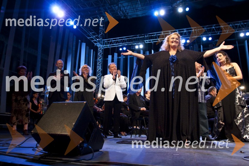 Poklon Elde Viler z gosti obiskovalcem koncertaPoletna noč - koncert Elde Viler z gosti ob 50. letnici delovanja