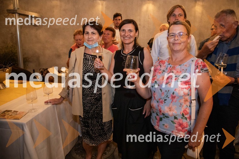 Vlado Kreslin, Festival Ljubljana in Terme Dobrna