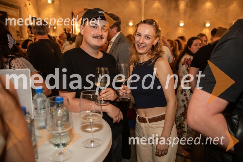 Vlado Kreslin, Festival Ljubljana in Terme Dobrna