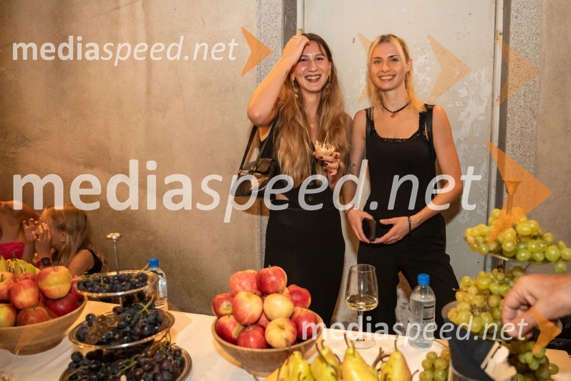 Vlado Kreslin, Festival Ljubljana in Terme Dobrna