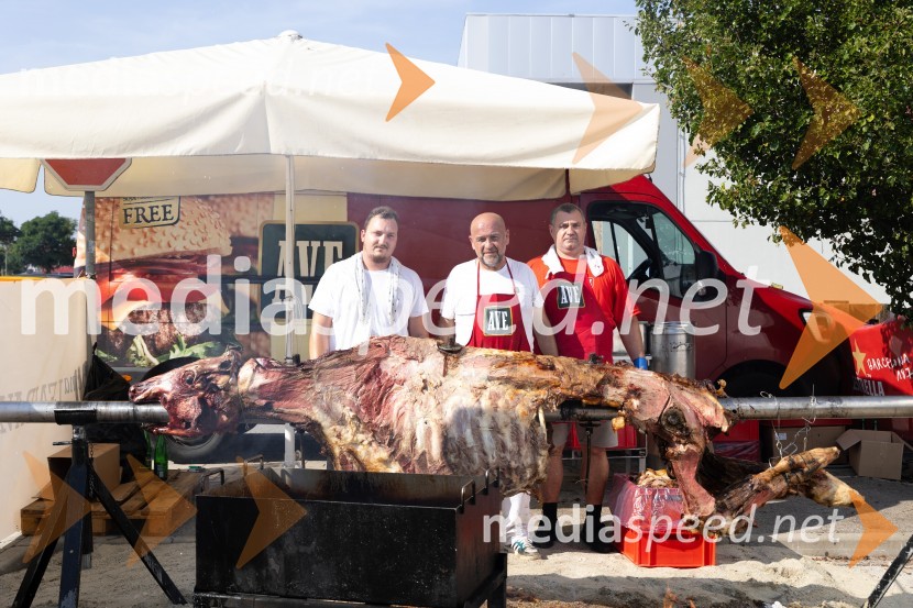 45. Lendavska trgatev 2024