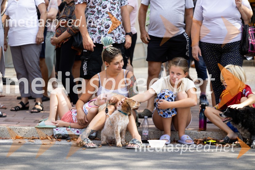 45. Lendavska trgatev 2024