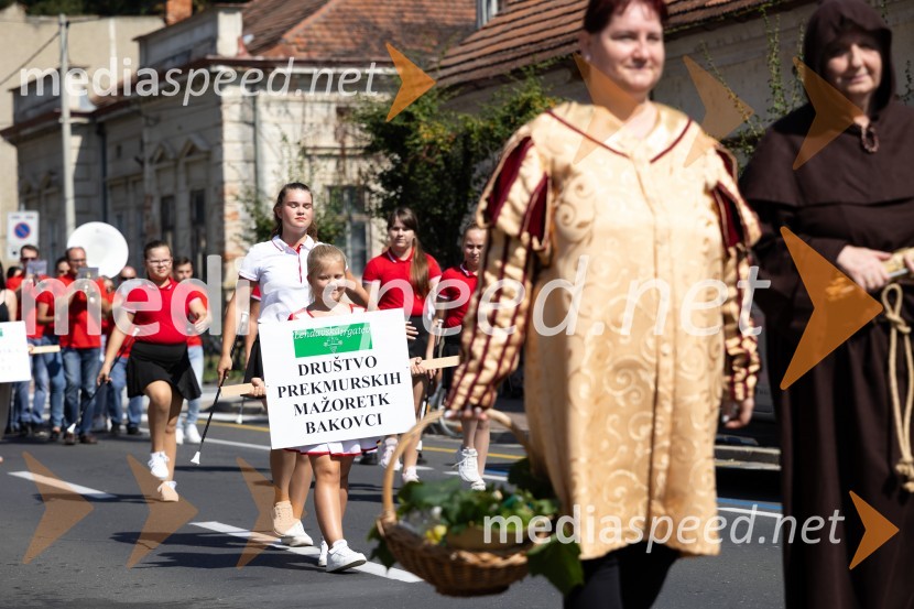 45. Lendavska trgatev 2024