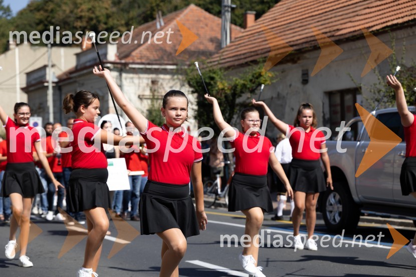 45. Lendavska trgatev 2024