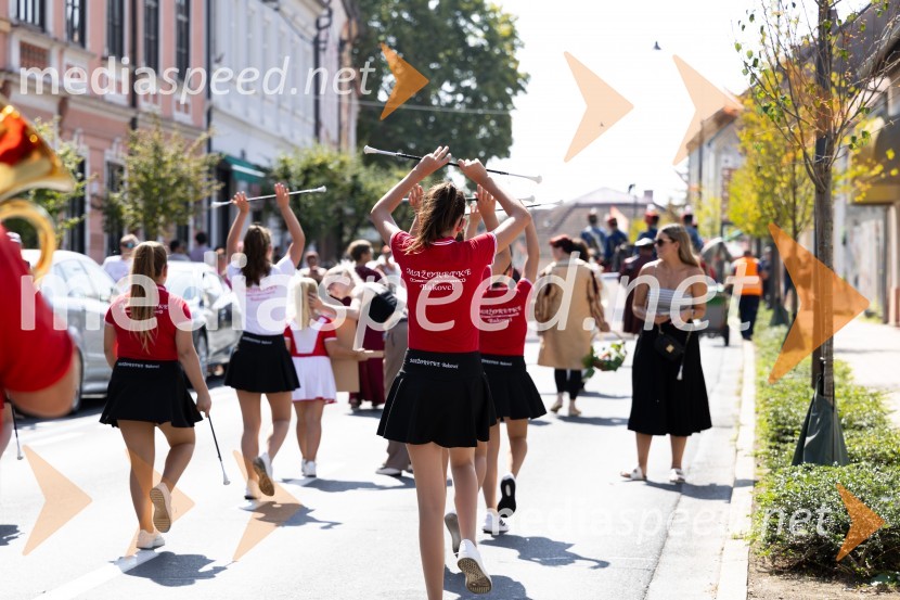 45. Lendavska trgatev 2024