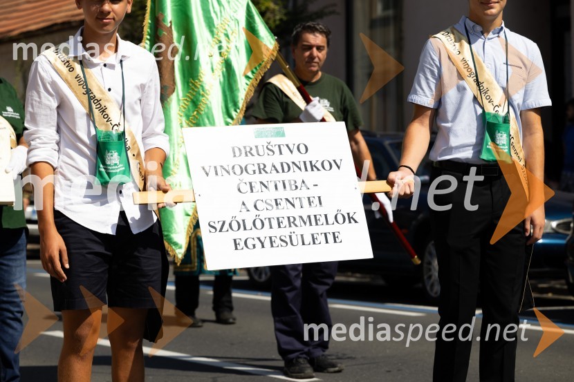 45. Lendavska trgatev 2024