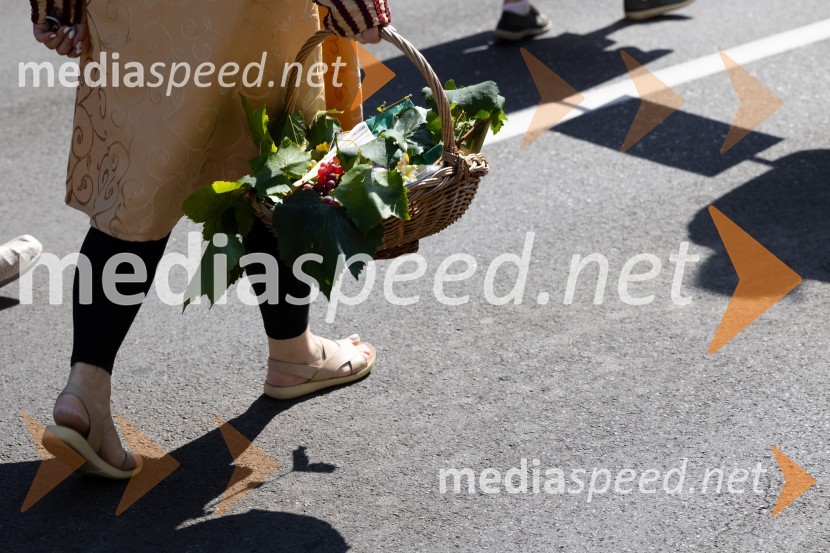 45. Lendavska trgatev 2024